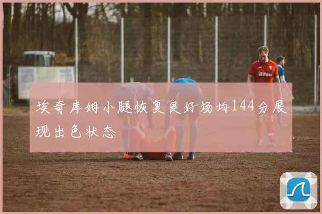埃奇库姆小腿恢复良好场均144分展现出色状态